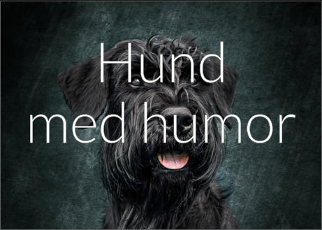 Hund med humor