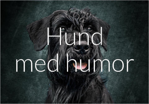 Hund med humor
